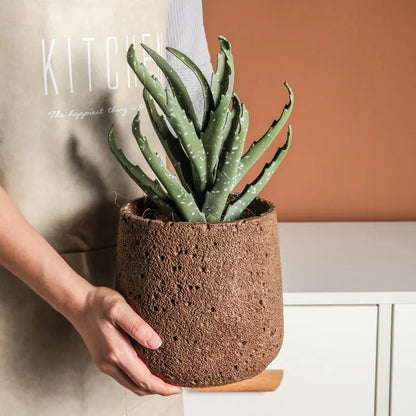The Grove Planter – Desk Greenery That Actually Works